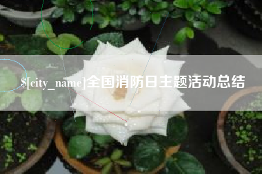 沈阳全国消防日主题活动总结