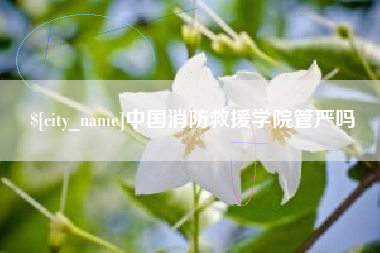 沈阳中国消防救援学院管严吗