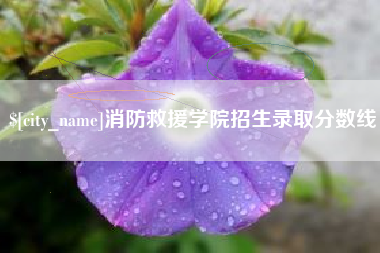 沈阳消防救援学院招生录取分数线