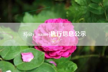 沈阳执行信息公示