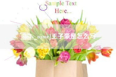沈阳王子豪是怎么写