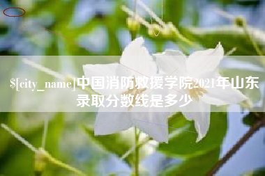 沈阳中国消防救援学院2021年山东录取分数线是多少