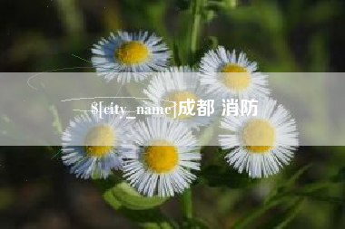 沈阳成都 消防