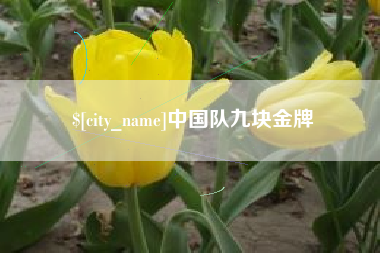 沈阳中国队九块金牌