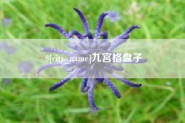 沈阳九宫格盘子