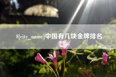 沈阳中国有几块金牌排名