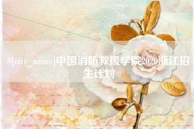 沈阳中国消防救援学院2020浙江招生计划