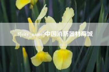 沈阳中国消防器材商城
