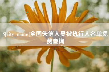 沈阳全国失信人员被执行人名单免费查询