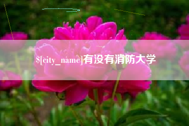 沈阳有没有消防大学