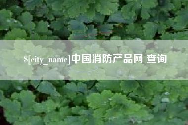 沈阳中国消防产品网 查询