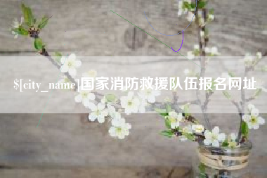 沈阳国家消防救援队伍报名网址