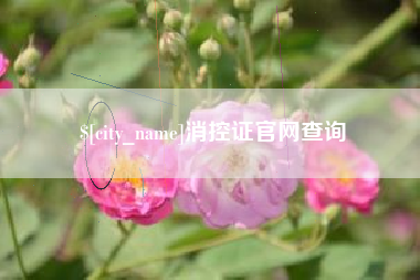 沈阳消控证官网查询