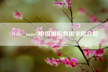 沈阳中国消防救援学院介绍