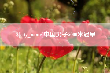 沈阳中国男子5000米冠军