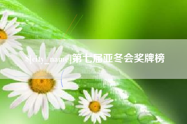 沈阳第七届亚冬会奖牌榜