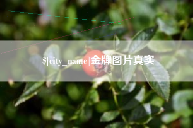 沈阳金牌图片真实
