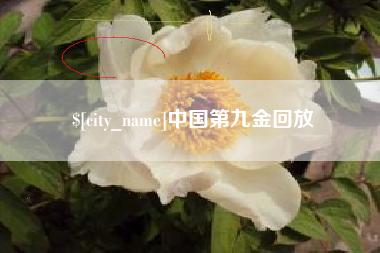 沈阳中国第九金回放