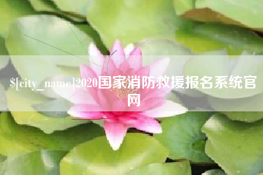 沈阳2020国家消防救援报名系统官网