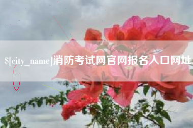 沈阳消防考试网官网报名入口网址