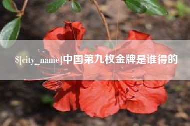 沈阳中国第九枚金牌是谁得的