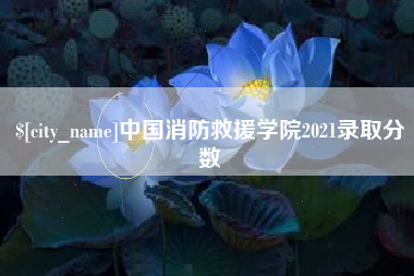 沈阳中国消防救援学院2021录取分数