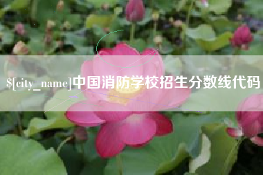 沈阳中国消防学校招生分数线代码