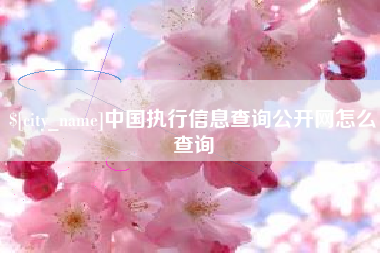 沈阳中国执行信息查询公开网怎么查询