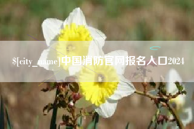 沈阳中国消防官网报名入口2024