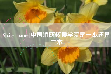 沈阳中国消防救援学院是一本还是二本