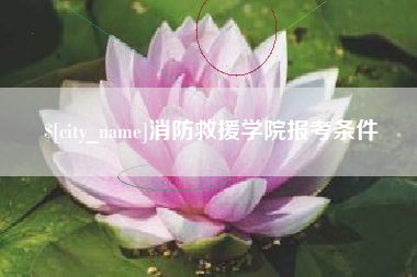 沈阳消防救援学院报考条件