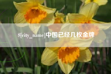 沈阳中国已经几枚金牌