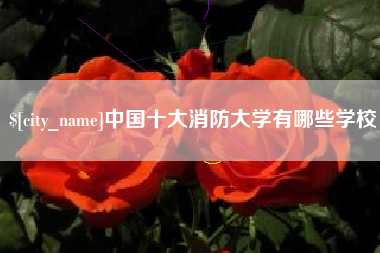 沈阳中国十大消防大学有哪些学校