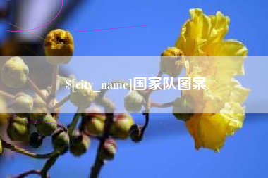 沈阳国家队图案