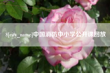 沈阳中国消防中小学公开课回放