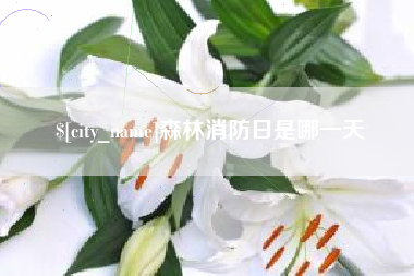 沈阳森林消防日是哪一天
