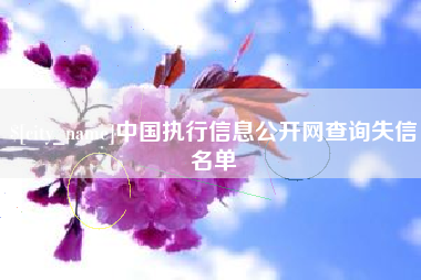 沈阳中国执行信息公开网查询失信名单
