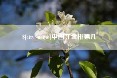沈阳中国夺金排第几
