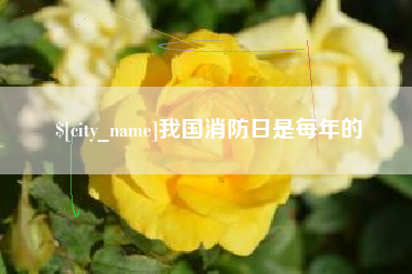 沈阳我国消防日是每年的