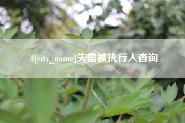 沈阳失信被执行人杳询
