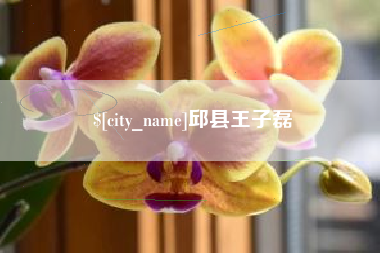 沈阳邱县王子磊