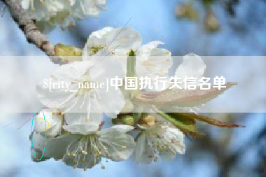 沈阳中国执行失信名单