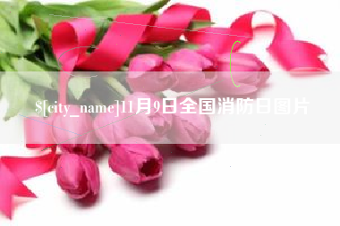 沈阳11月9日全国消防日图片