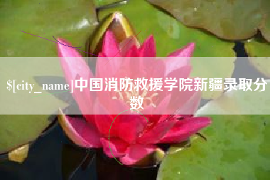 沈阳中国消防救援学院新疆录取分数