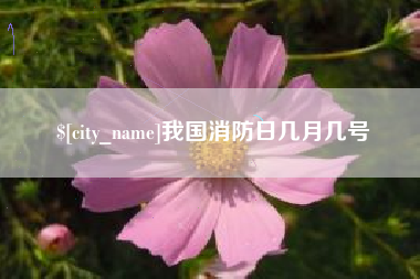 沈阳我国消防日几月几号