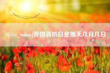 沈阳我国消防日是哪天几月几日