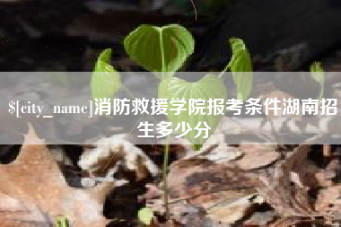 沈阳消防救援学院报考条件湖南招生多少分