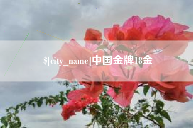沈阳中国金牌18金