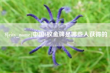 沈阳中国6枚金牌是哪些人获得的