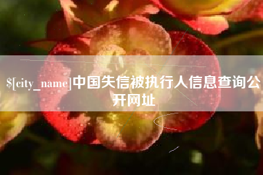 沈阳中国失信被执行人信息查询公开网址
